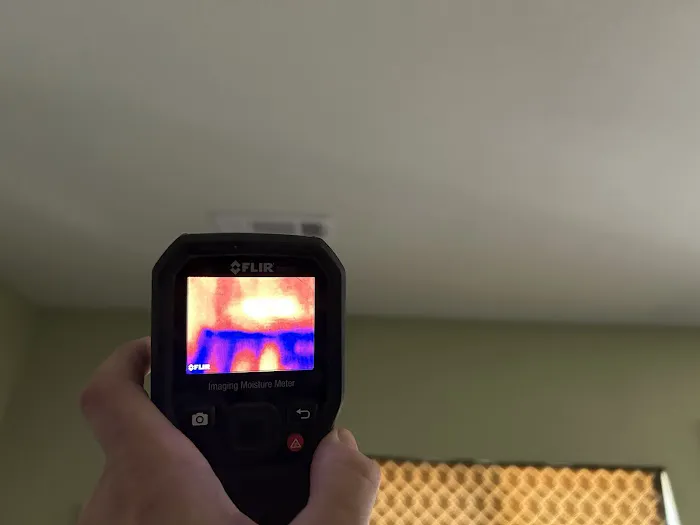 Simpson Restoration Picture 1