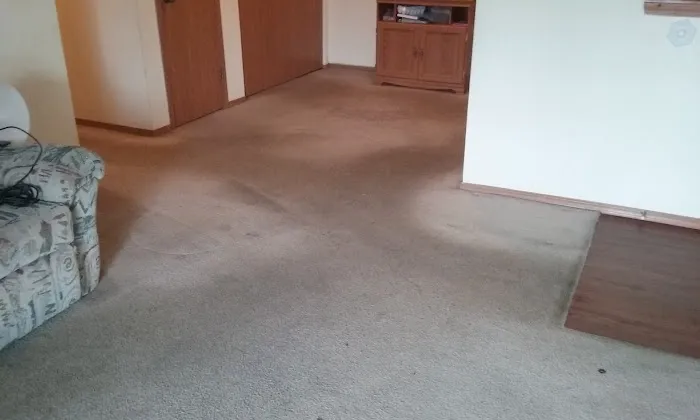 Bee Clean Carpet & Restoration - Serving Springfield for 18 Years Picture 4