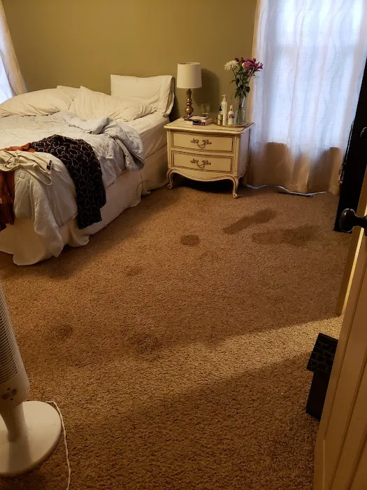 Bee Clean Carpet & Restoration - Serving Springfield for 18 Years Picture 9