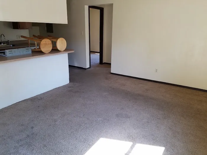 Bee Clean Carpet & Restoration - Serving Springfield for 18 Years Picture 8