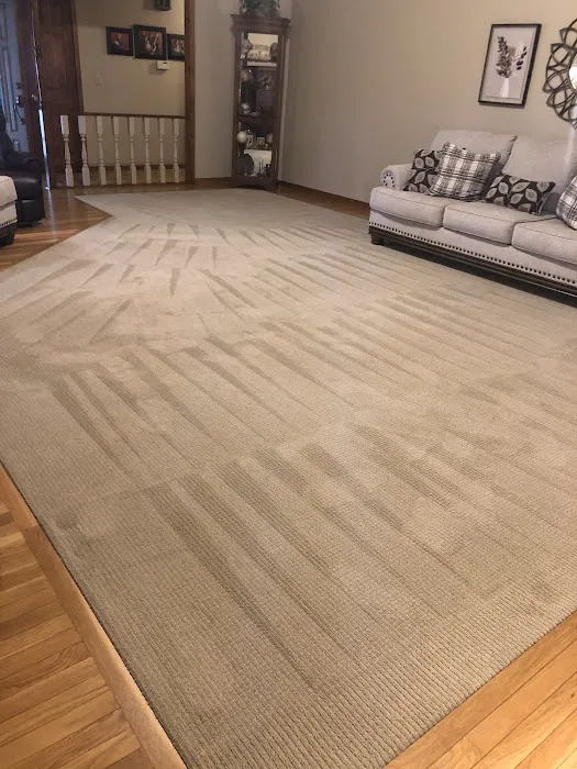 Bee Clean Carpet & Restoration - Serving Springfield for 18 Years Picture 7
