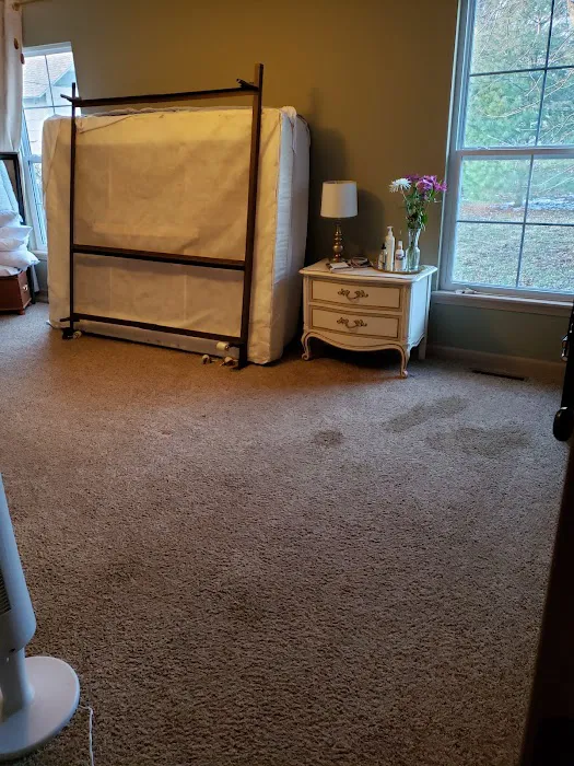 Bee Clean Carpet & Restoration - Serving Springfield for 18 Years Picture 5