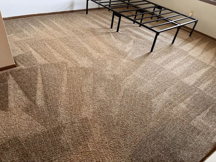 Bee Clean Carpet & Restoration - Serving Springfield for 18 Years Picture 3