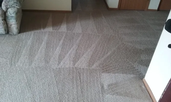 Bee Clean Carpet & Restoration - Serving Springfield for 18 Years Picture 2