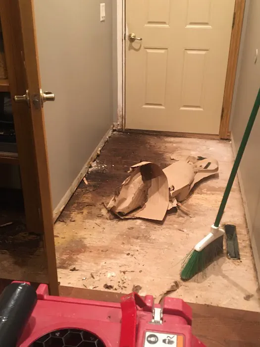 PuroClean Certified Restoration Picture 5