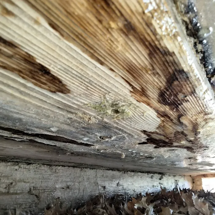 A-TrustWorthy Picture 7