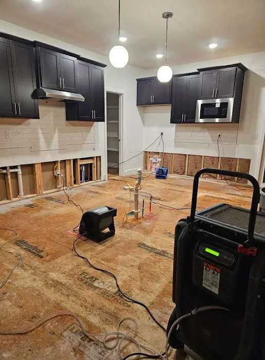 NAV Restoration Picture 2