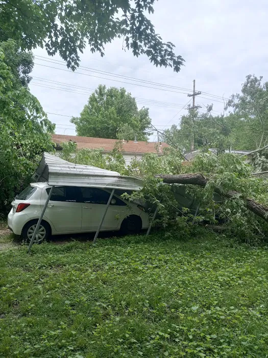 Killer Cleanups 417 Picture 6