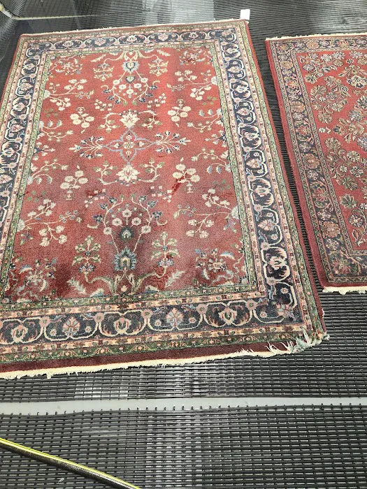 Buddy's Carpet Care Picture 2