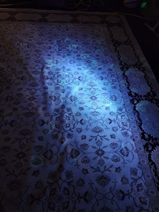 Buddy's Carpet Care Picture 3