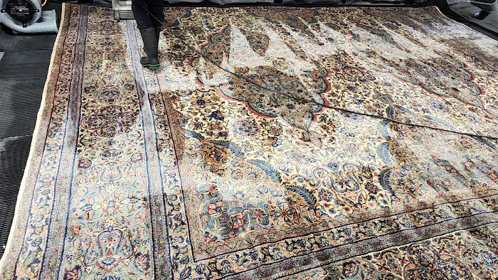 Buddy's Carpet Care Picture 1