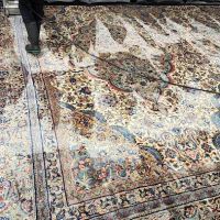 Buddy's Carpet Care ico