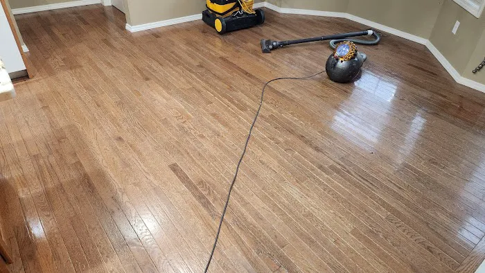 Buddy's Carpet Care Picture 9