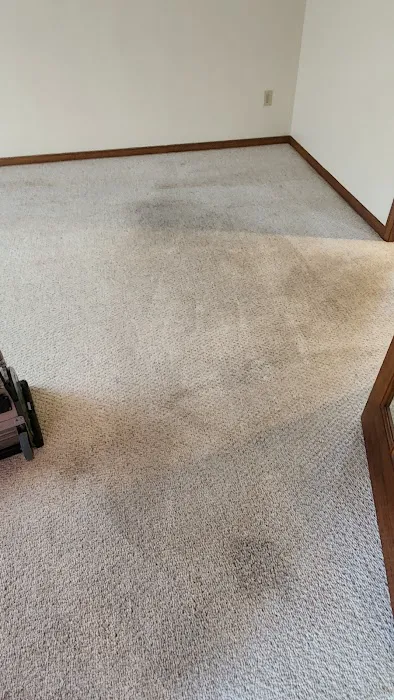 Buddy's Carpet Care Picture 5