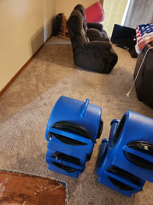 Buddy's Carpet Care Picture 10