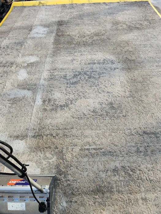 Buddy's Carpet Care Picture 6