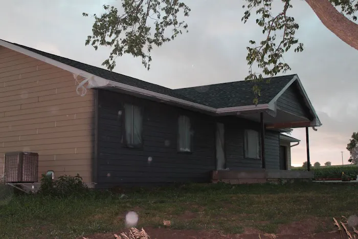 Flamingo Painting Picture 1