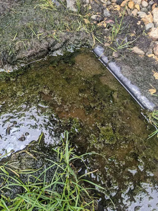 Crew Restoration & Construction Inc. Picture 10