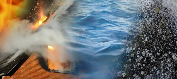 Crew Restoration & Construction Inc. Picture 4