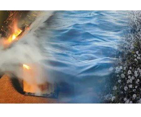 Crew Restoration & Construction Inc.