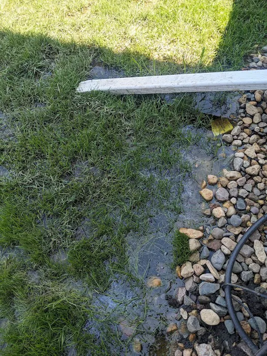 Crew Restoration & Construction Inc. Picture 6