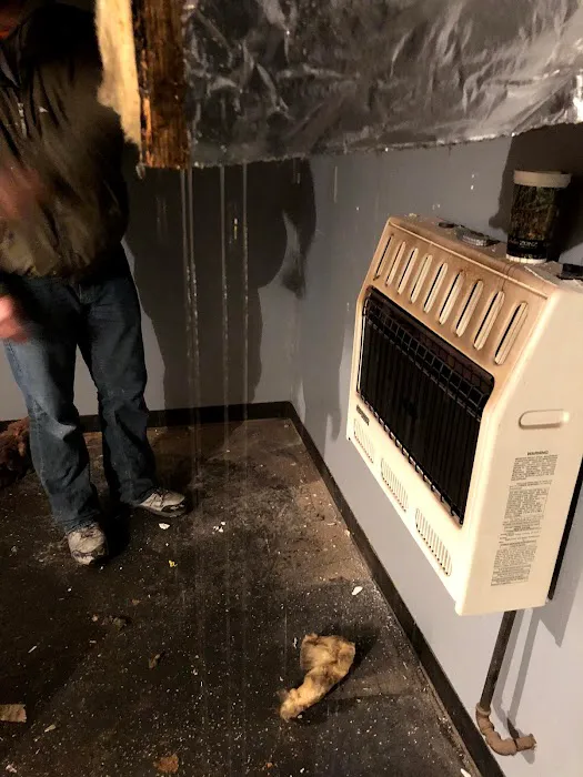 PIVOT Companies Picture 7