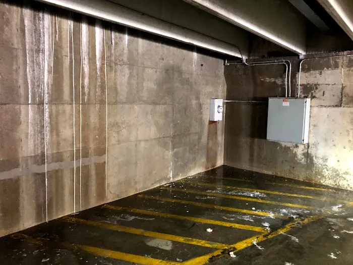 PIVOT Companies Picture 2