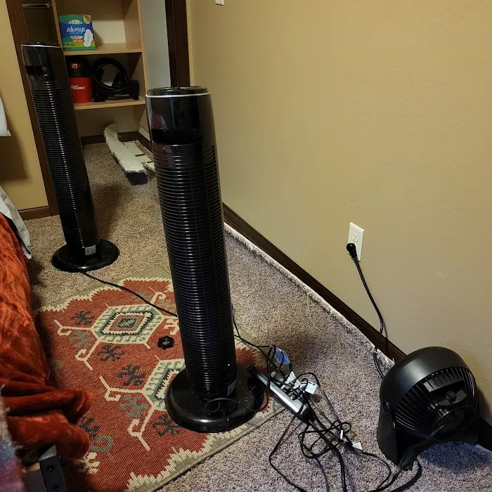 Stanley Steemer Picture 3