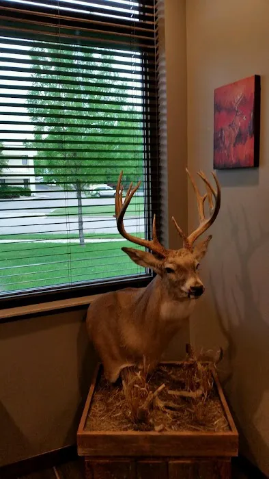 Mustang Disaster CleanUp Picture 8