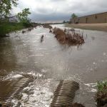 Mustang Disaster CleanUp