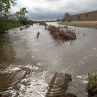 Mustang Disaster CleanUp ico