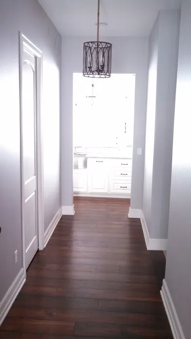 Otto's Painting Services Picture 3