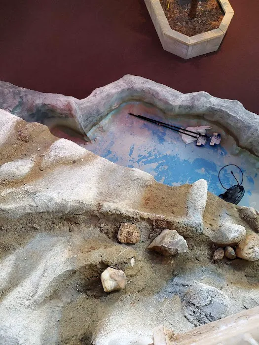 605 Painting Picture 9