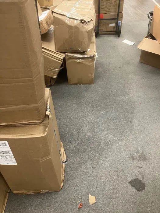 Allied Carpet and Floor Picture 10