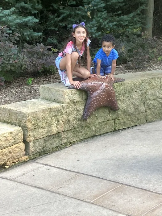 Allied Carpet and Floor Picture 8