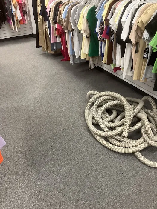 Allied Carpet and Floor Picture 4