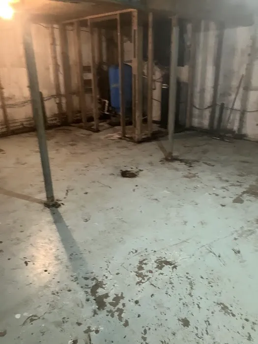 Allied Carpet and Floor Picture 1