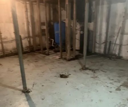 Allied Carpet and Floor