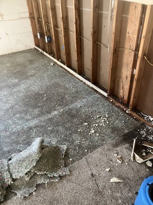 Allied Carpet and Floor Picture 9