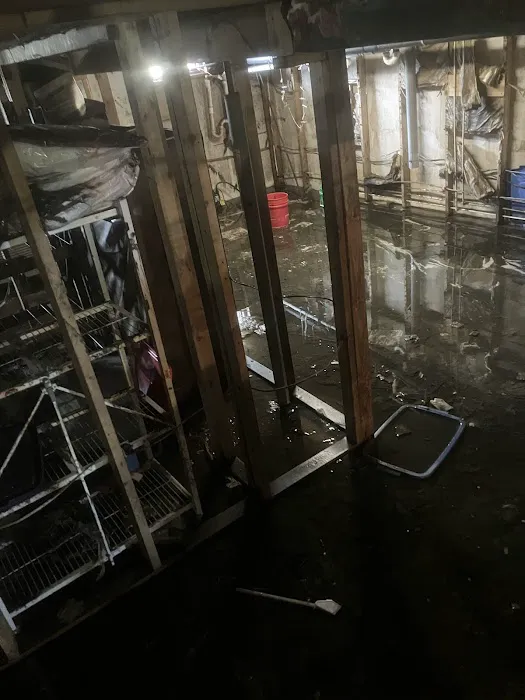 Allied Carpet and Floor Picture 2