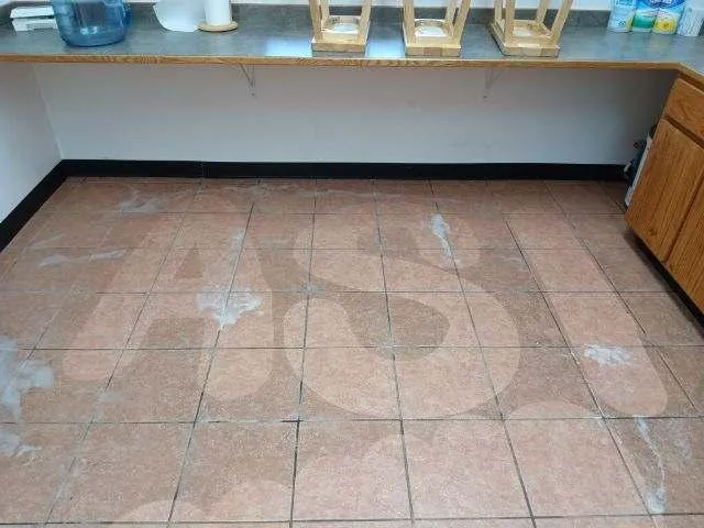 A Striking Image Water Damage, Cleaning Carpet, Tile & Upholstery Picture 6