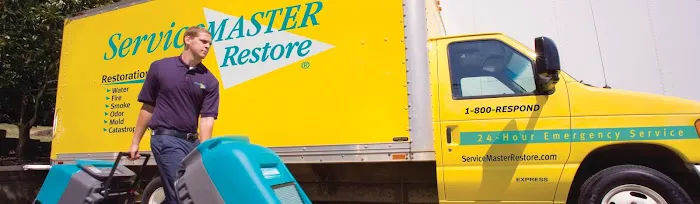 Servicemaster Professional Picture 2