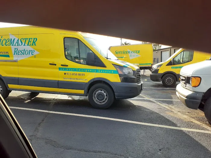 Servicemaster Professional Picture 1