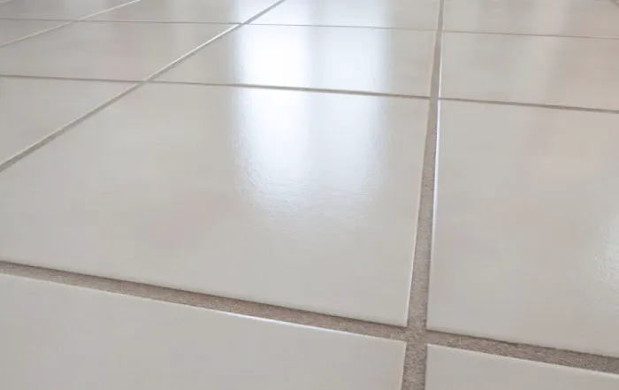 Casanova Carpet Cleaning and Water Extraction Picture 2