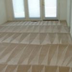 Casanova Carpet Cleaning and Water Extraction