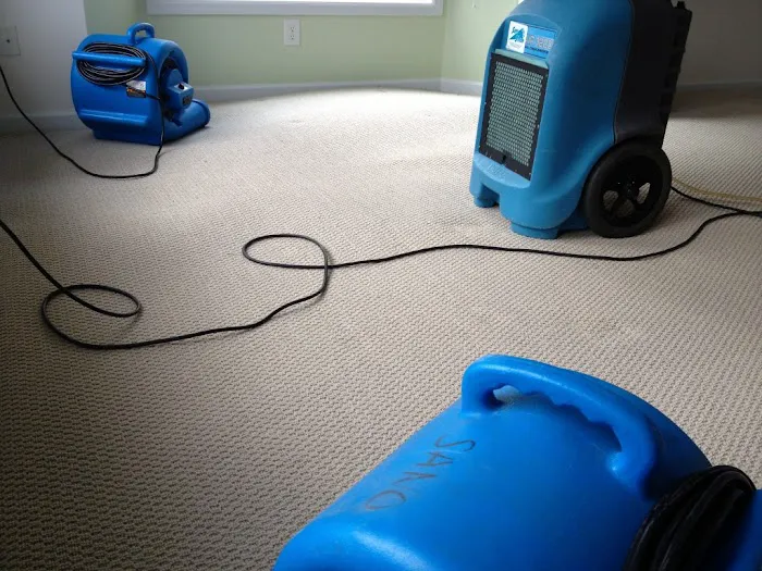 Casanova Carpet Cleaning and Water Extraction Picture 10