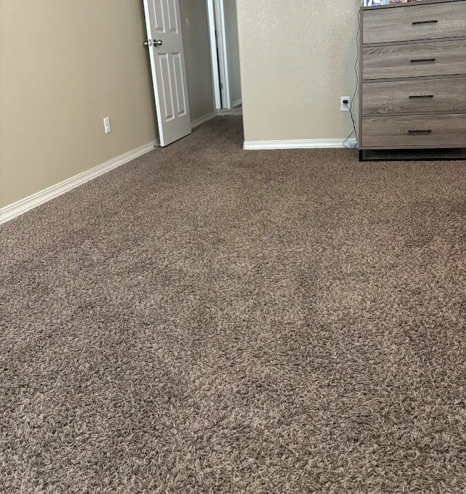 Casanova Carpet Cleaning and Water Extraction Picture 8