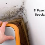 El Paso Mold Specialists