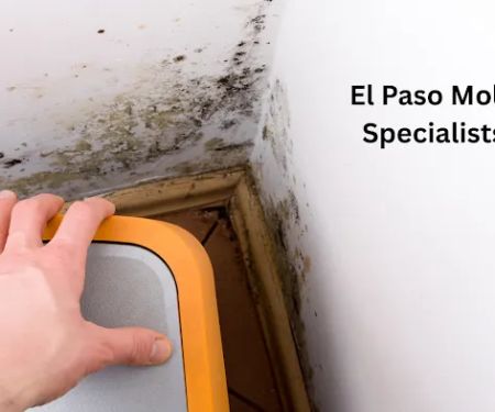 El Paso Mold Specialists