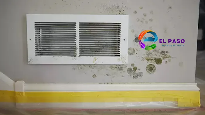 El Paso Mold Specialists Picture 6